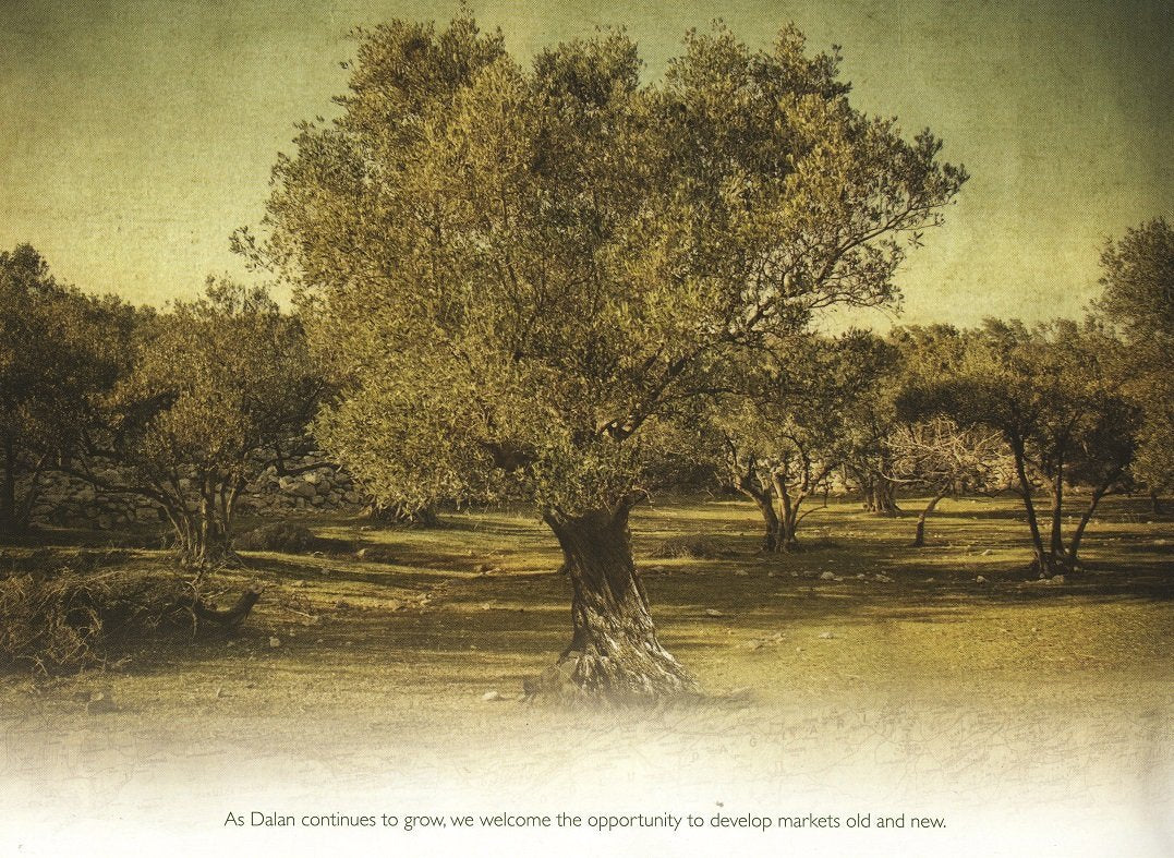 Dalan 100% Pure Olive Oil Hair Conditioner Repair Care for Dry and Damaged Hair Preventing it from Forming Split Ends Paraben-Silicon-PEG Free 6.8 fl.oz.